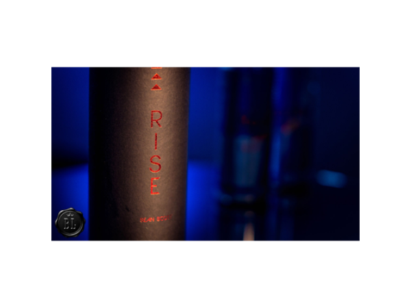 Rise (Gimmick and Online Instructions) by Sean Scott