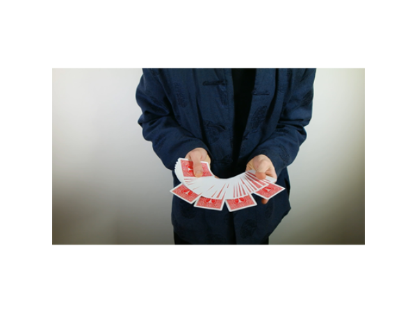 Project ULTIMA by Andrew Herring & Feel Astonished LIVE - DVD