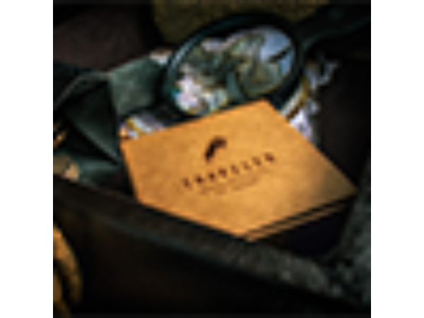 The Traveler (Gimmick and Online Instructions) by Jeff Copeland