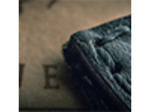 The Traveler (Gimmick and Online Instructions) by Jeff Copeland