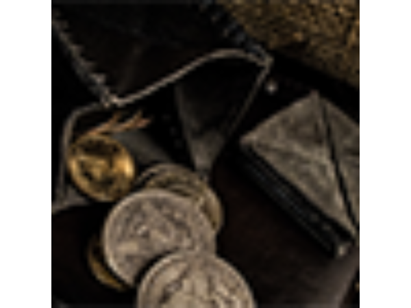 The Traveler (Gimmick and Online Instructions) by Jeff Copeland