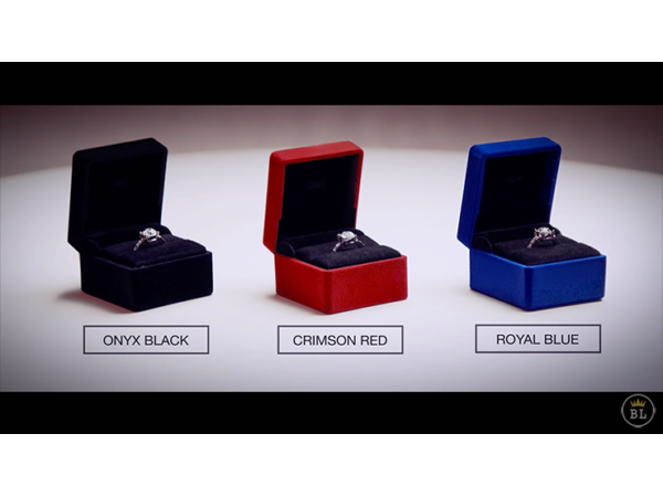 Limited Edition Vanishing Ring Red (Gimmick and Online Instructions) by SansMinds