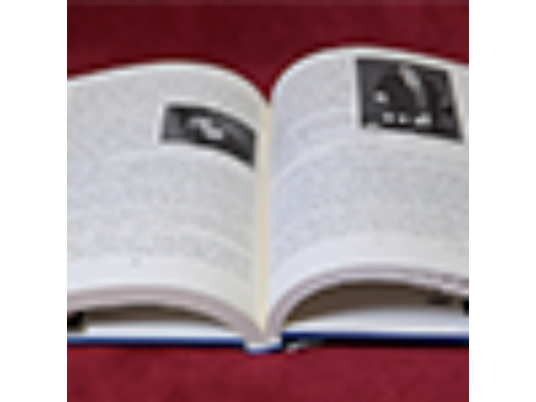 Stand-up Card Magic by Roberto Giobbi