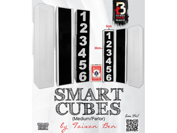 Smart Cubes (Medium / Parlor) by Taiwan Ben