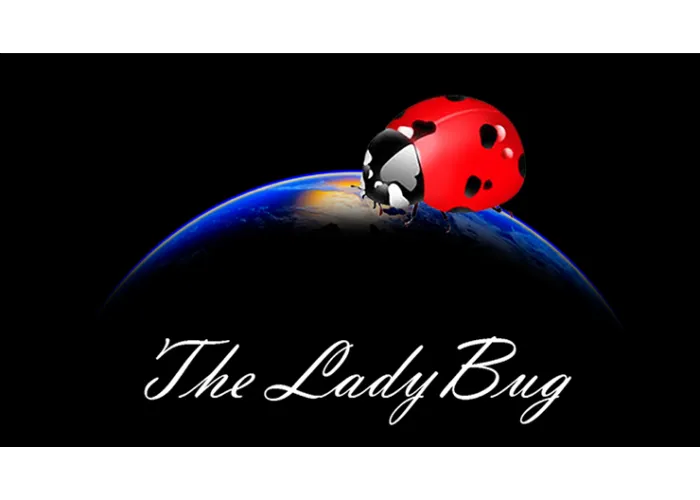 The Ladybug by Hugo Valenzuela