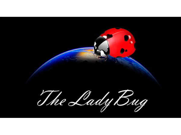 The Ladybug by Hugo Valenzuela