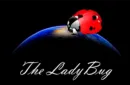 The Ladybug by Hugo Valenzuela – Image 1