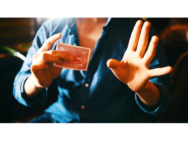 Flight by Kevin Li and Shin Lim Presents