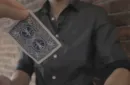 Flight by Kevin Li and Shin Lim Presents – Image 3