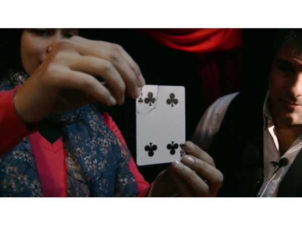 Torn Card Evolution (TCE) by Juan Pablo