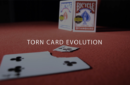 Httpswww magicshop chmediacatalogproducttotorn card evolution tce by juan pablo png