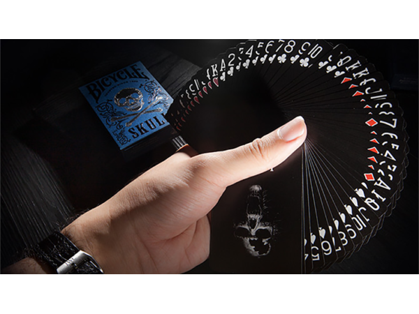 Bicycle Luxury Skull Playing Cards by BOCOPO Playing Card Company