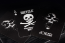 Httpswww magicshop chmediacatalogproductbibicycle luxury skull playing cards by bocopo playing card company3 png