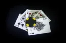 LUXX Playing Cards: Shadow Edition Silver, Second Edition – Image 1