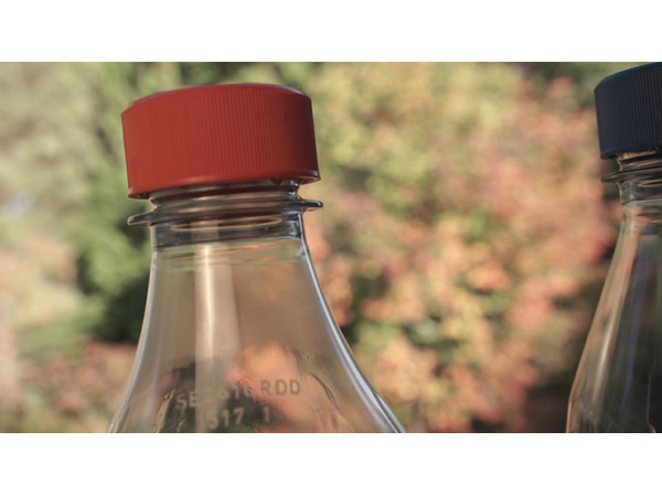 Paul Harris Presents Rattled (Dark Red) by Dan Hauss