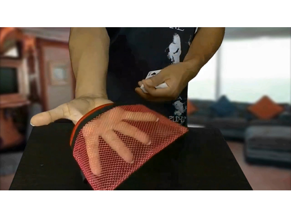 Card Through Mesh Bag by Higpon