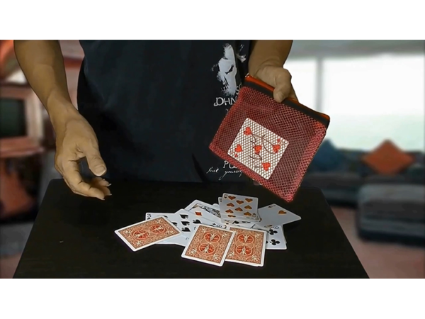 Card Through Mesh Bag by Higpon