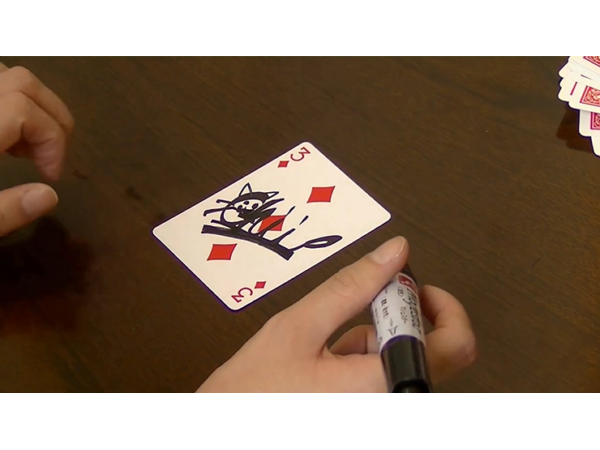Card Through Mesh Bag by Higpon