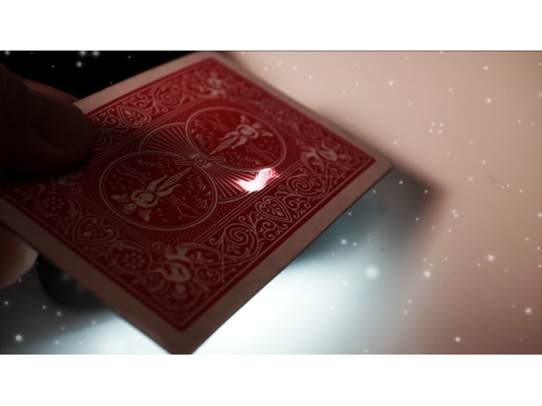 Paul Harris Presents Starlight by Chris Perrotta