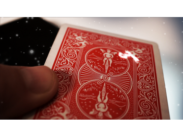 Paul Harris Presents Starlight by Chris Perrotta