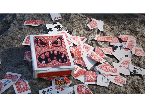 Devour (DVD and Gimmick) by SansMinds Creative Lab MM