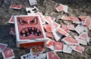 Devour (DVD and Gimmick) by SansMinds Creative Lab MM – Bild 2