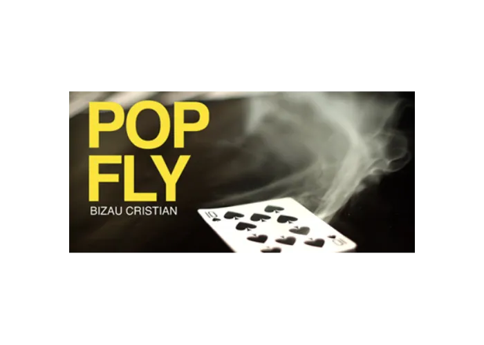 Pop Fly by Bizau Cristian video DOWNLOAD