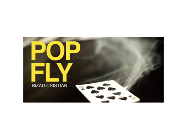 Pop Fly by Bizau Cristian video DOWNLOAD