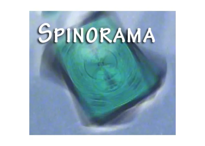 Spinorama by William Lee video DOWNLOAD