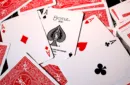 Bicycle Standard Red Poker Cards (New Box) – Bild 4