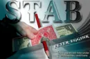 STAB by Peter Eggink – Image 1