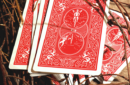 Httpswww magicshop chmediacatalogproductququantum3 png
