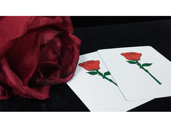 Rosy by Magic Eye & Magiclism