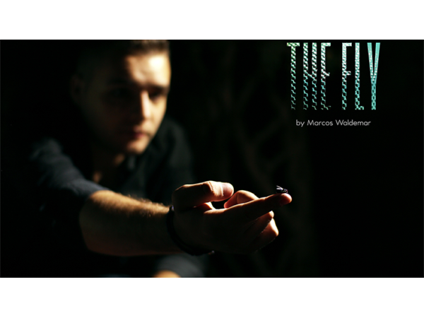 The FLY by Marcos Waldemar