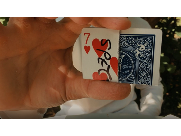 REDSTORE by Olivier Pont