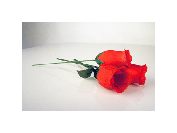 The Rose by Bond Lee & Wenzi Magic
