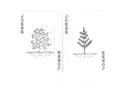 Winterberry Playing Cards – Image 5
