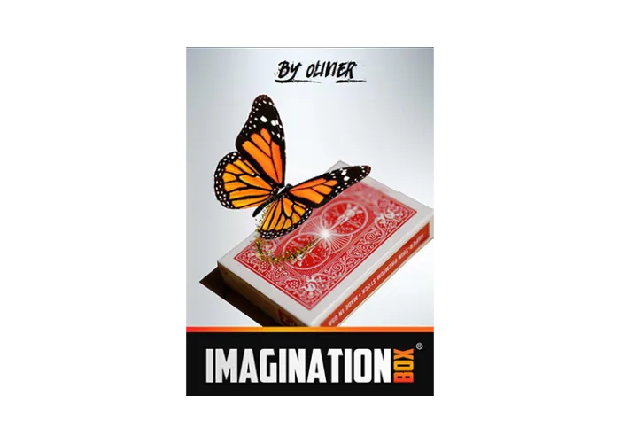 Imagination Box by Olivier Pont