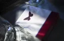 Butterfly Playing Cards Marked (Red) by Ondrej Psenicka – Image 2