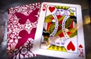 Butterfly Playing Cards Marked (Red) by Ondrej Psenicka – Image 4