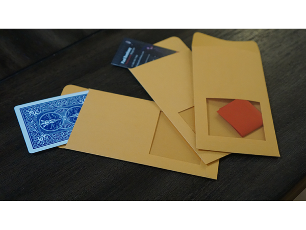 DP SWITCHING ENVELOPE by Paul Romhany