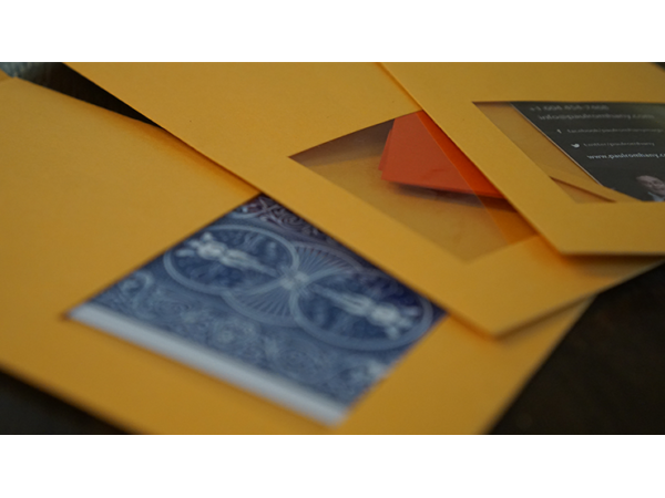DP SWITCHING ENVELOPE by Paul Romhany
