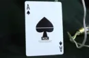 NOC Out: White Playing Cards – Image 6