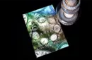 The Time Traveller (Limited 500) by Kieron Johnson – Bild 2