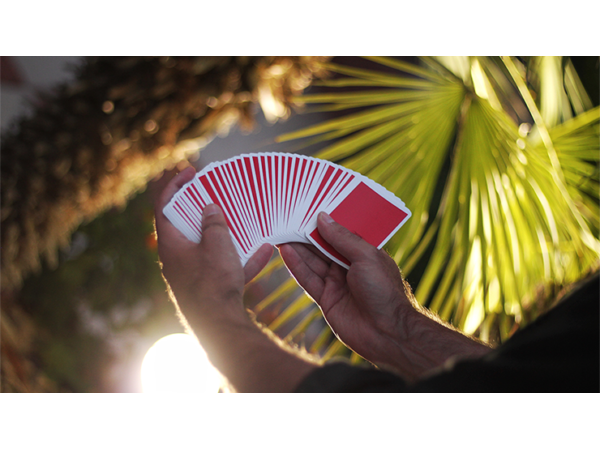 NOC Original Deck (Red) Printed at USPCC by The Blue Crown
