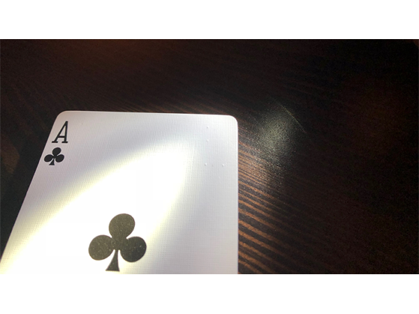 The Blind Wizard Deck Red Tally Ho Circle Back (Gimmicks and Online Instructions) by Don Boyer