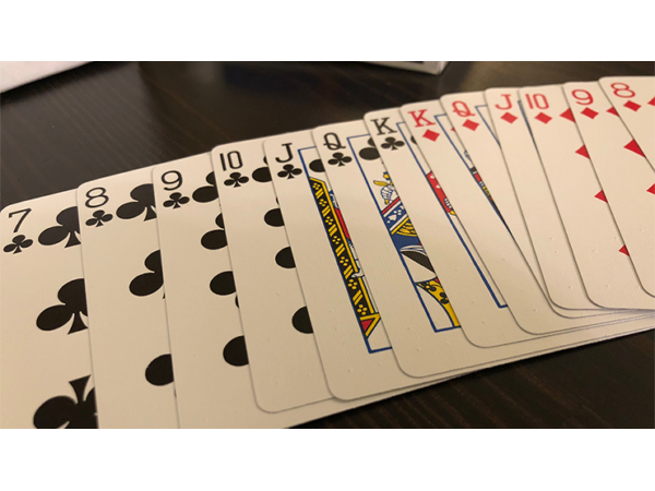 The Blind Wizard Deck Red Bicycle (Gimmicks and Online Instructions) by Don Boyer