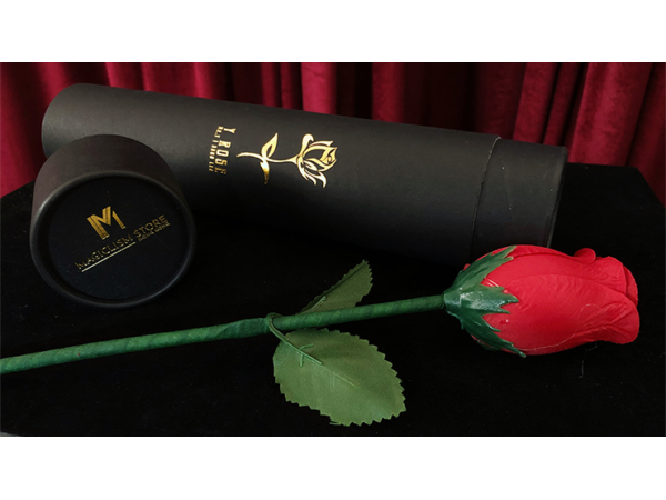 Y-Rose by Mr. Y & Bond Lee