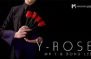 Y-Rose by Mr. Y & Bond Lee – Image 1