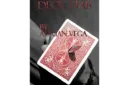 Deck Stab by Adrian Vega – Bild 1